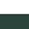 White/Dark Green
